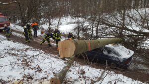 Technische Hilfeleistung mit umgestürztem Baum